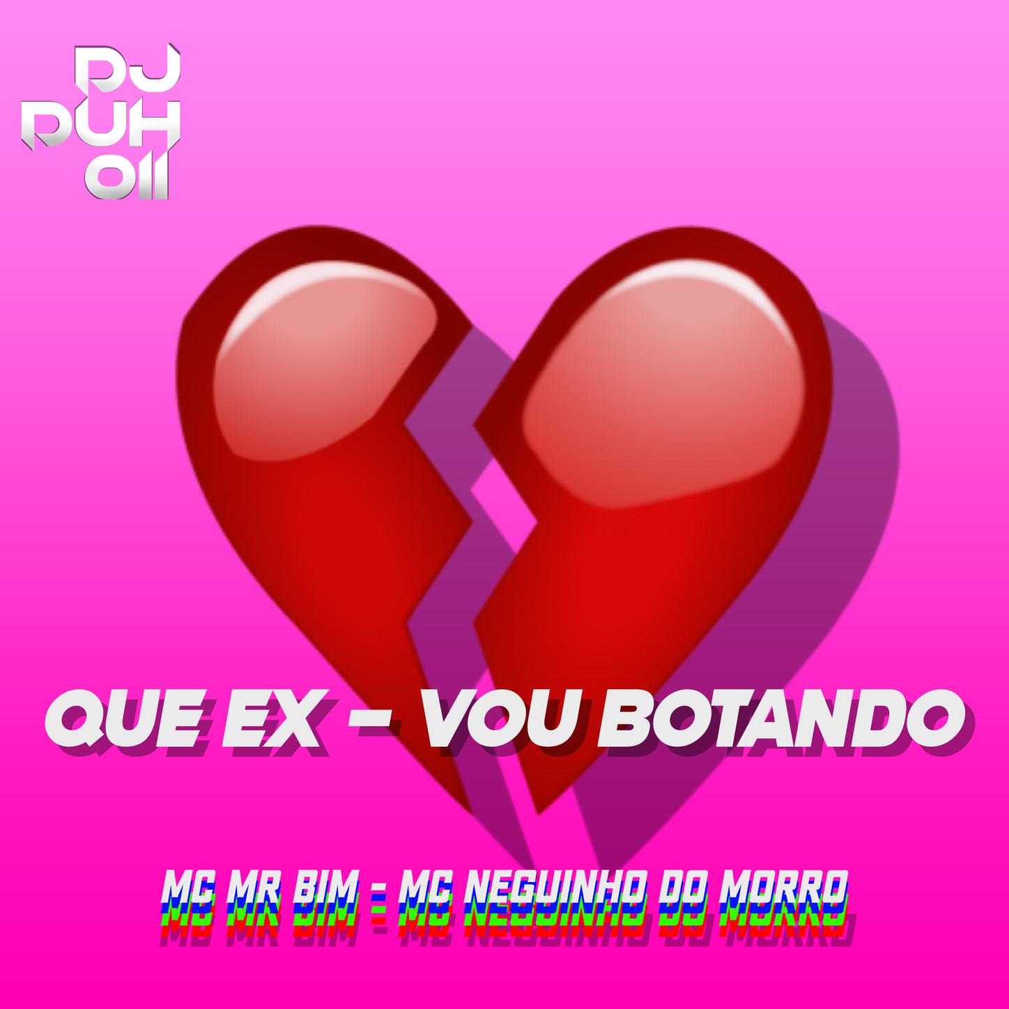 QUE EX - VOU BOTANDO