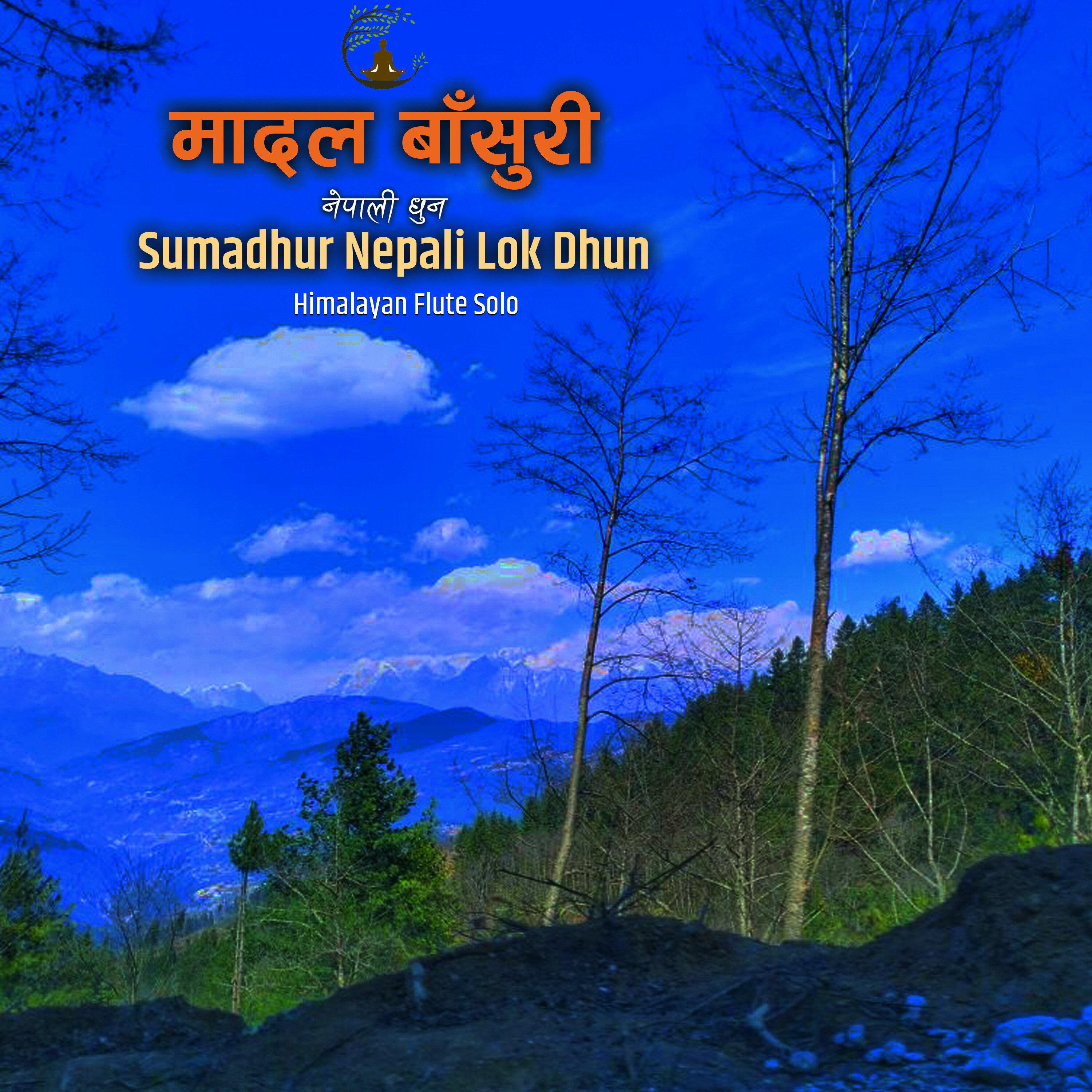 Sumadhur Nepali Lok Dhun Himalayan Flute Solo|| Nostalgic Nepalipan Mitho Dhun Gaubesi