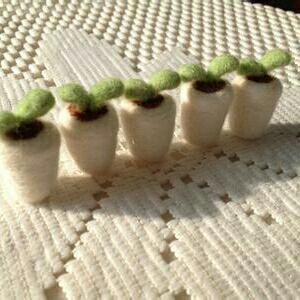 -假如-时光倒流