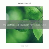 The Best Noises Compilation For Tension Relief