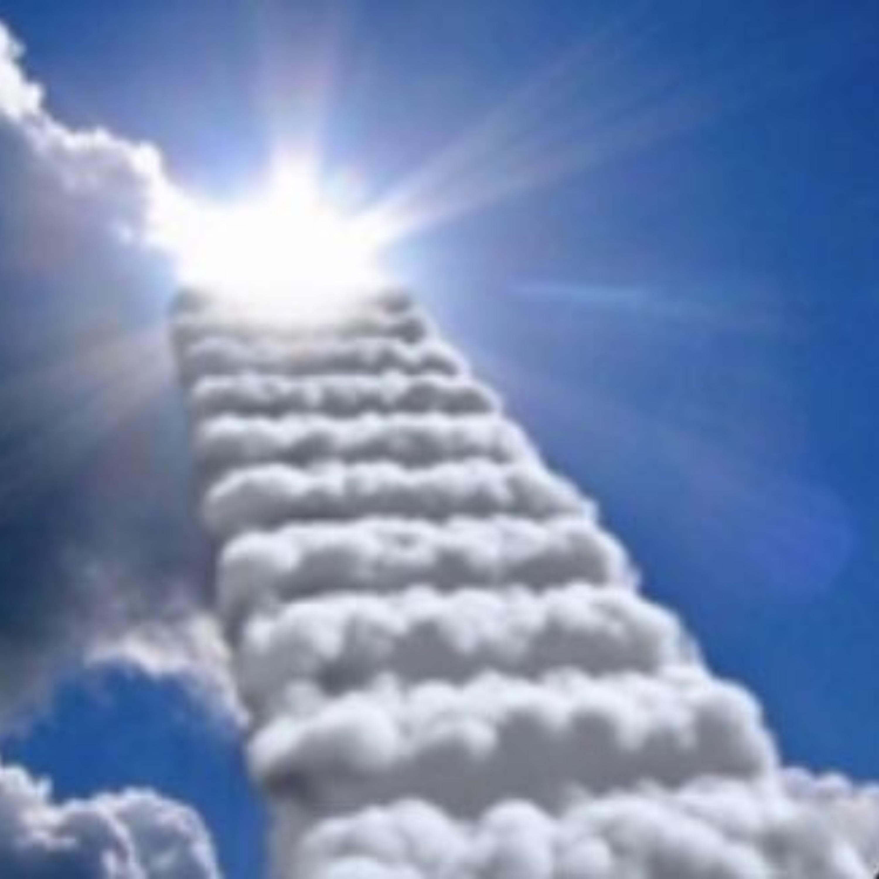 3. that's it, i'm killing myself tonight... hope you enjoyed my pain and suffering