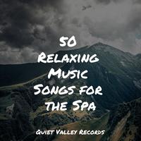 50 Relaxing Music Songs for the Spa