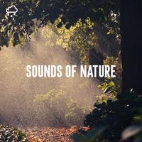 Sounds of Nature