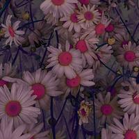 wildflower_luhua