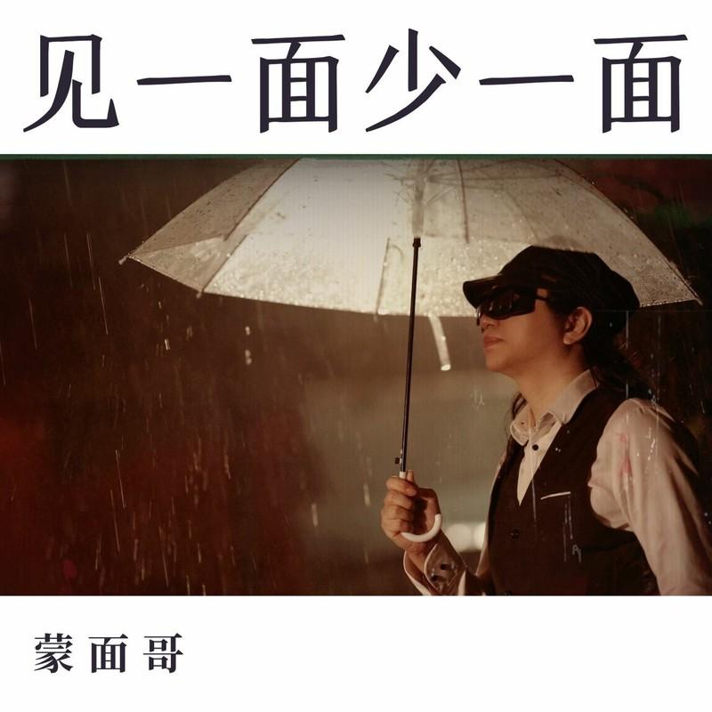 见一面少一面封面