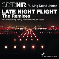 Late Night Flight The Remixes