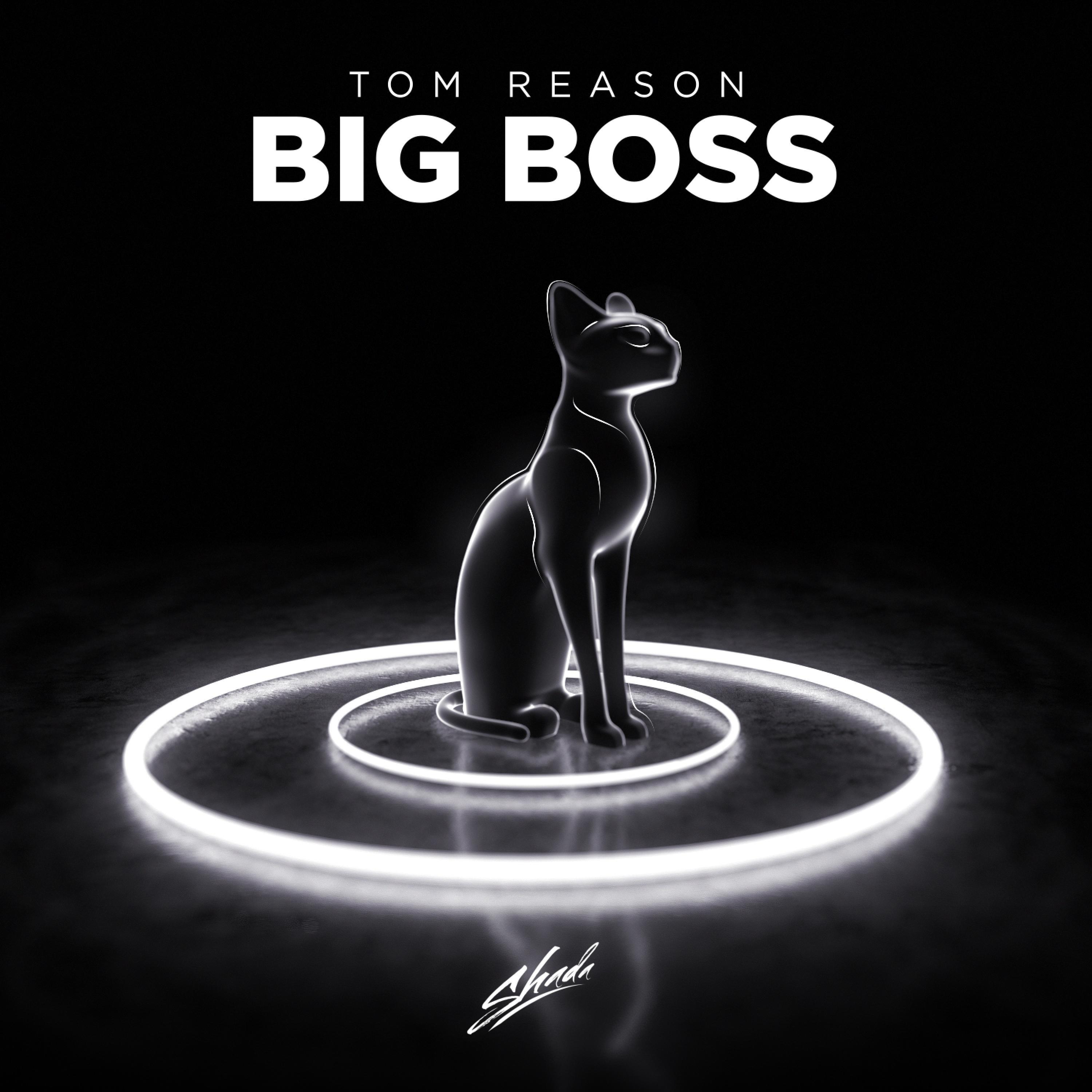 Big Boss (Original Mix)