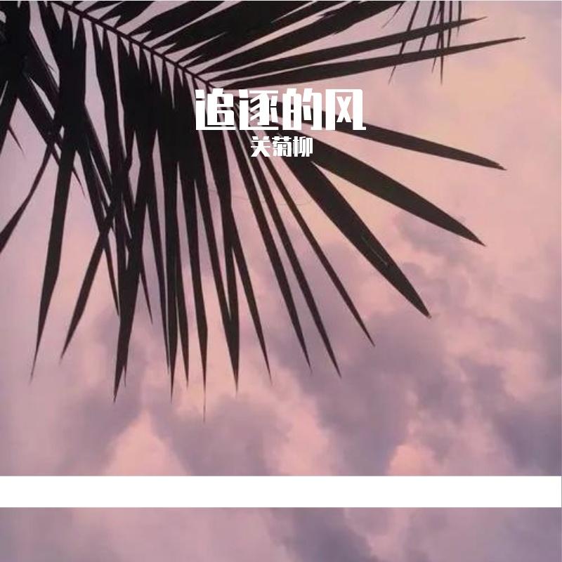 追逐的风封面
