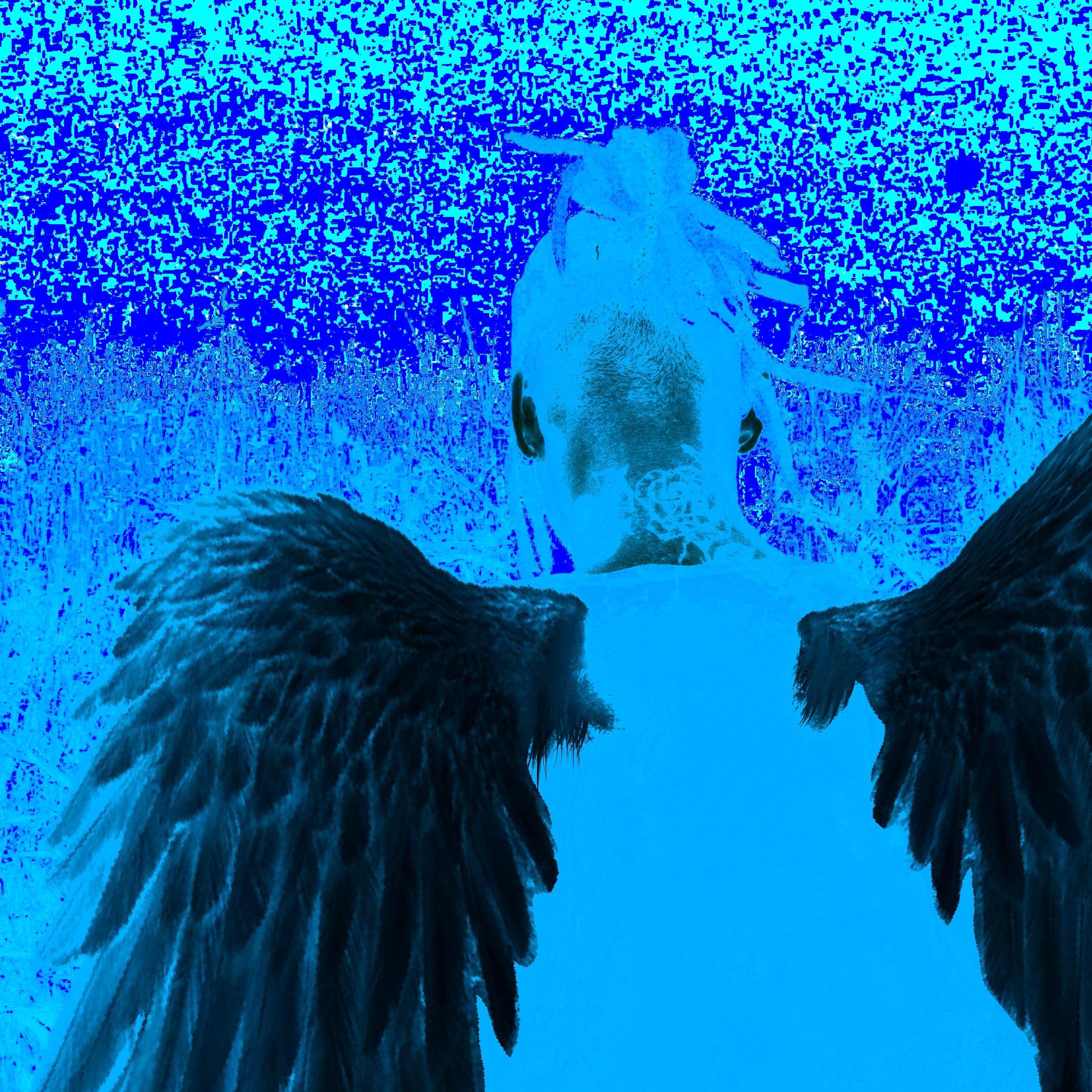 Cheap Thrills (Remix)