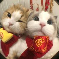 愿与愁(DJ鑫鑫)