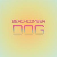 Beachcomber Dog