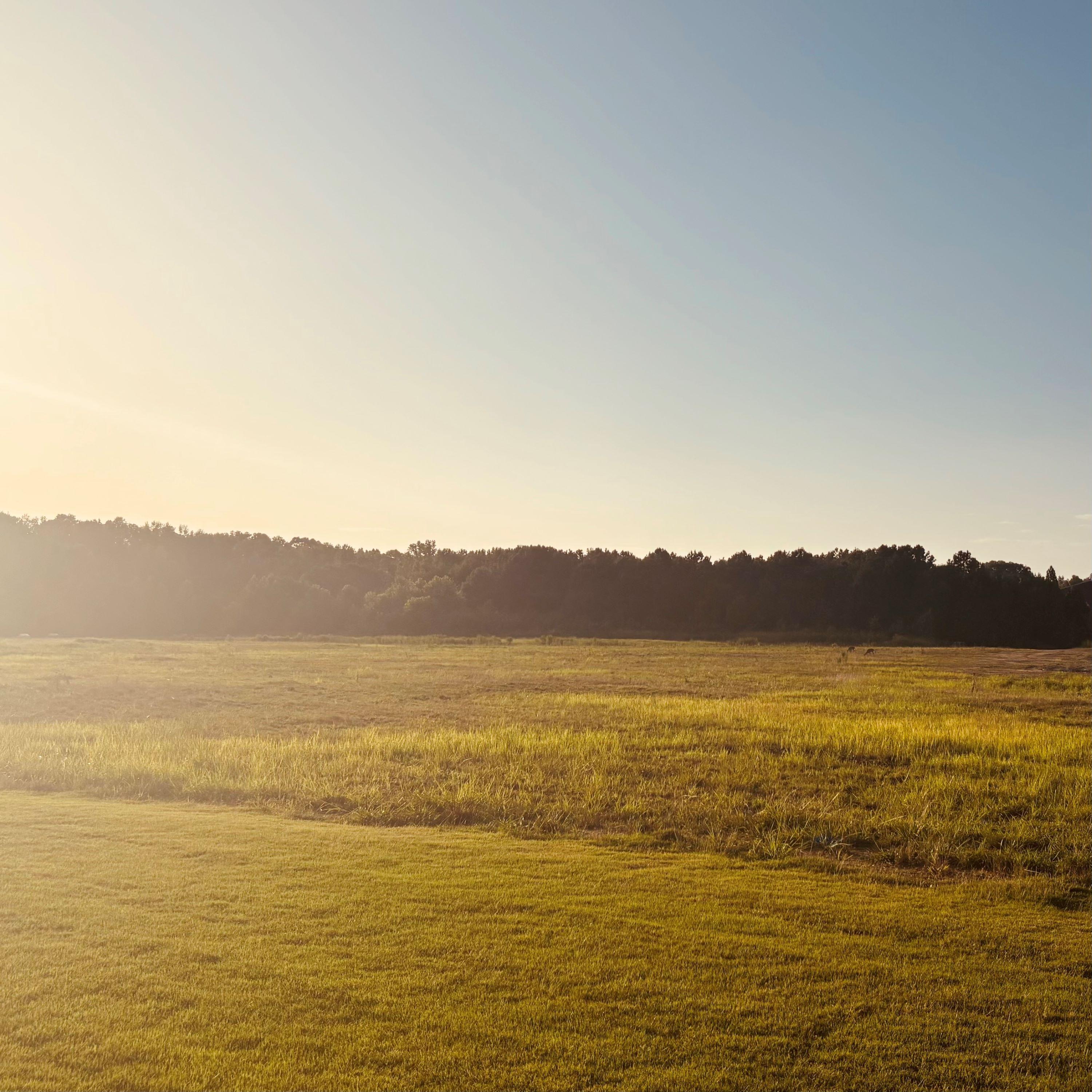 ASMR No Talking: Moving Movie Discs From CD Binder to Cases, Pt. 3