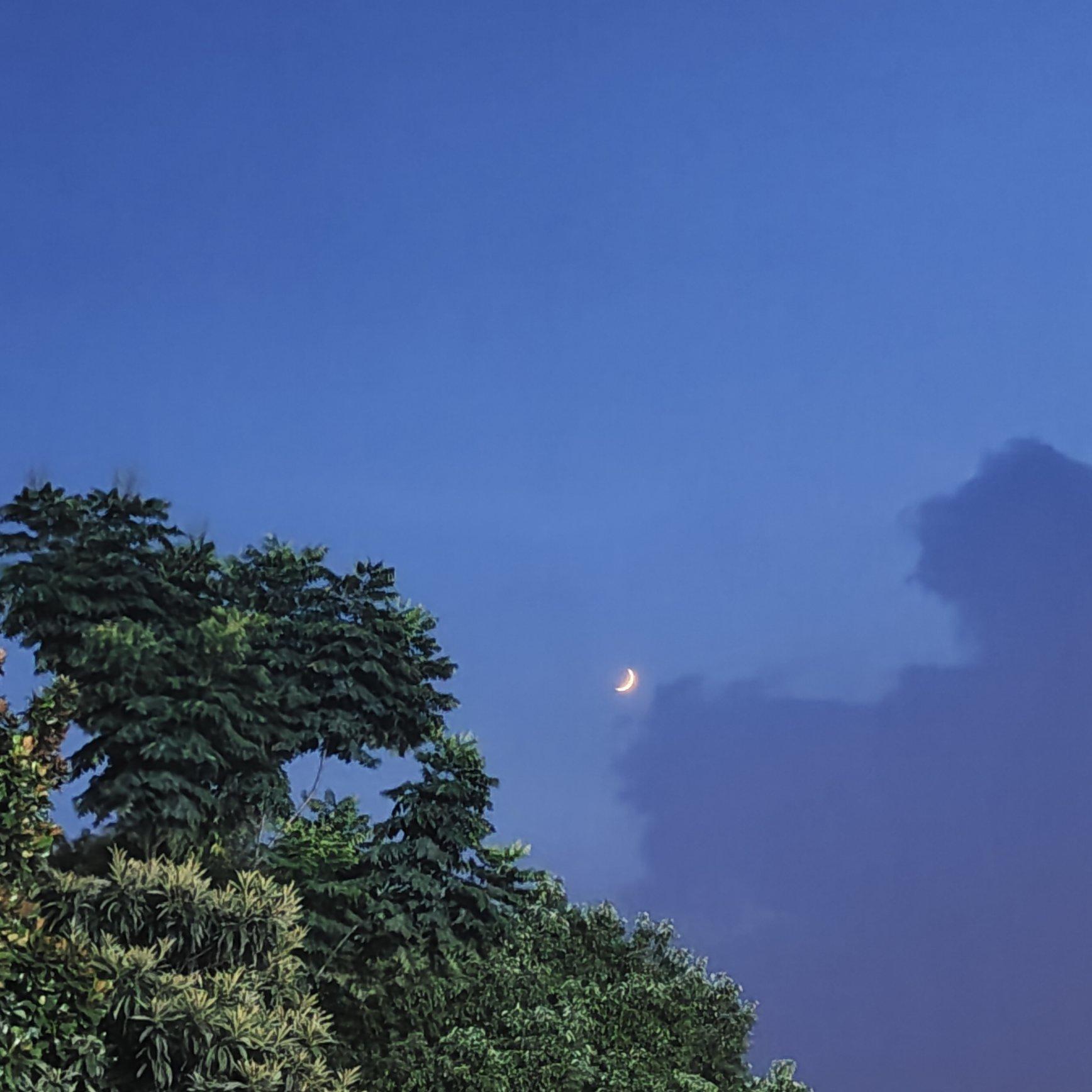 雪绒花 (钢琴曲)