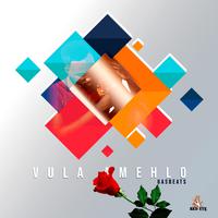 VULA AMEHLO