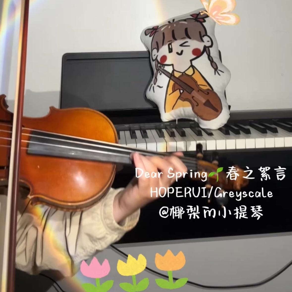 DearSpring（春之絮言）小提琴翻奏
