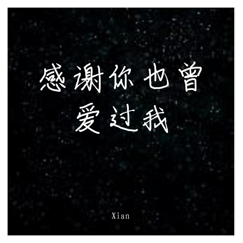 感谢你也曾爱过我封面