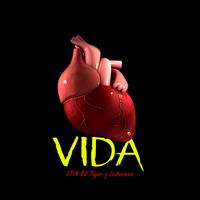 Vida (feat. IPM El Tiger)