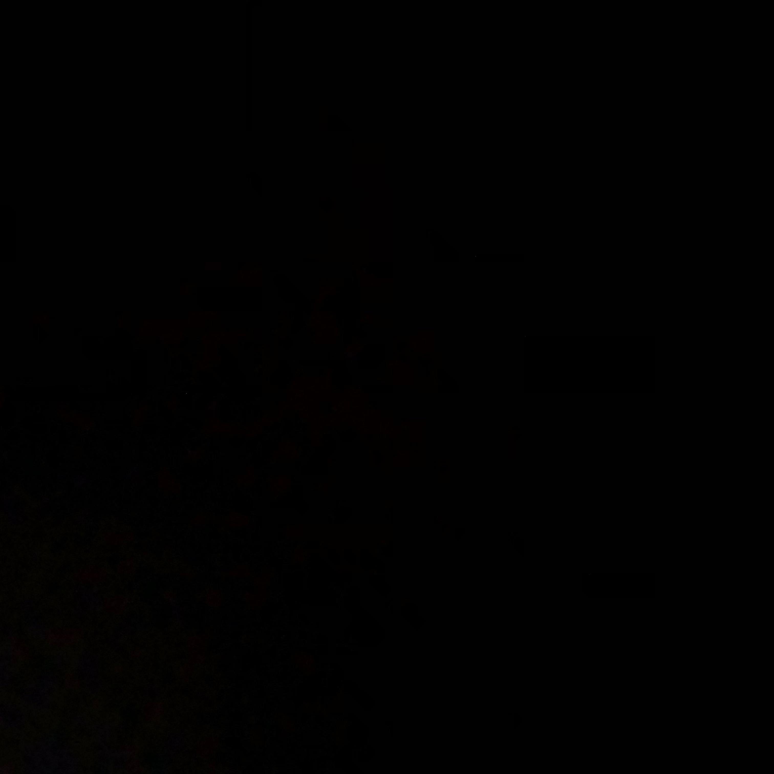 爱恨情仇（Yn1Jasper）