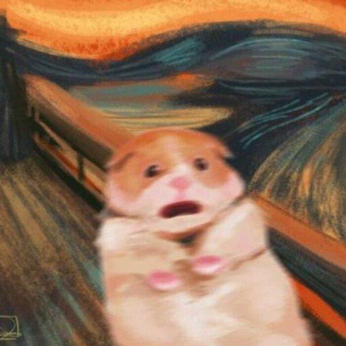 零下三十六度八