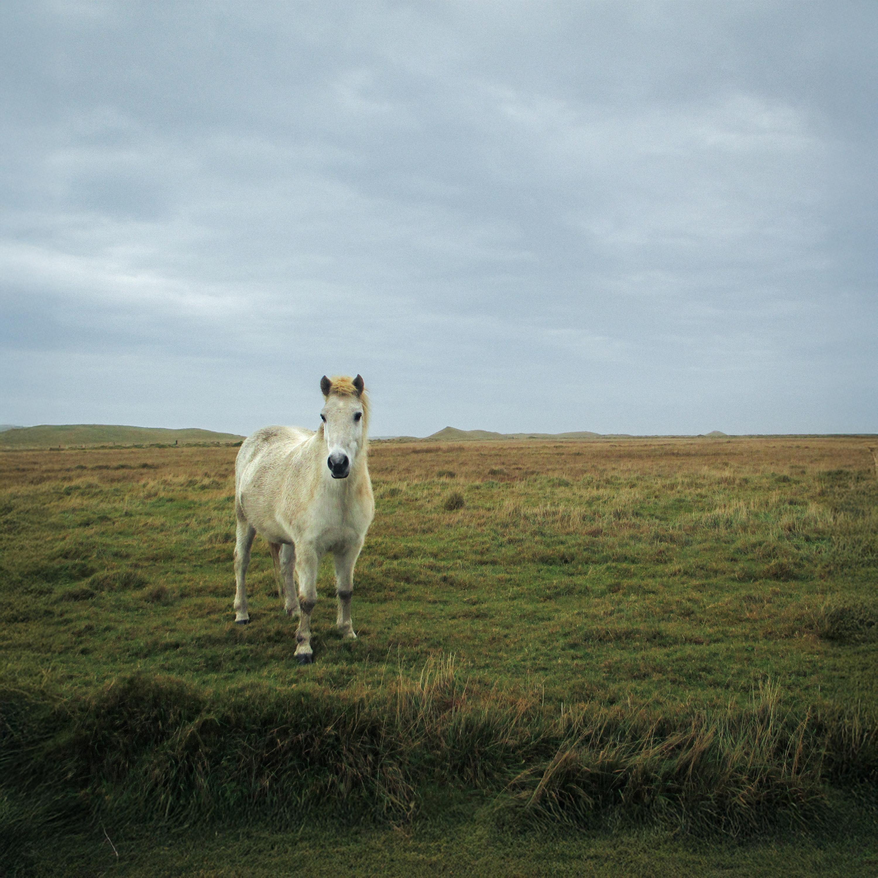 dove ti nascondi ???