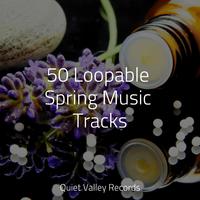 50 Loopable Spring Music Tracks