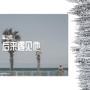 后来遇见他