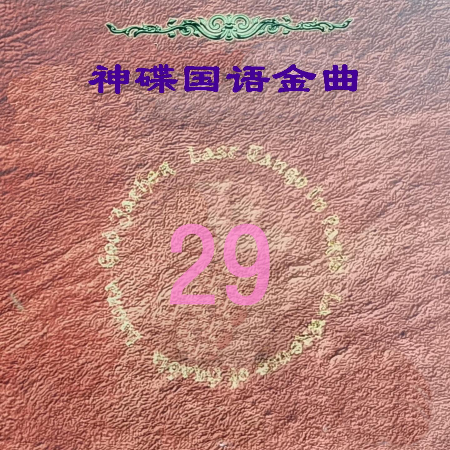 趁着心还能飞封面