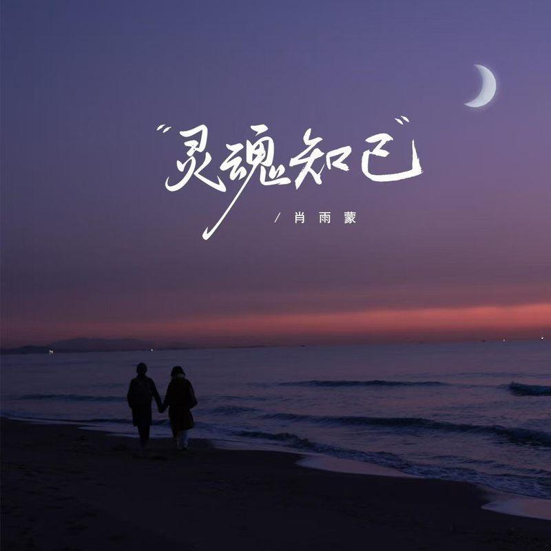 灵魂知己 (伴奏) - 肖雨蒙封面