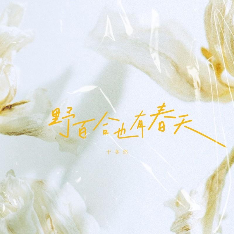 野百合也有春天 (伴奏)封面