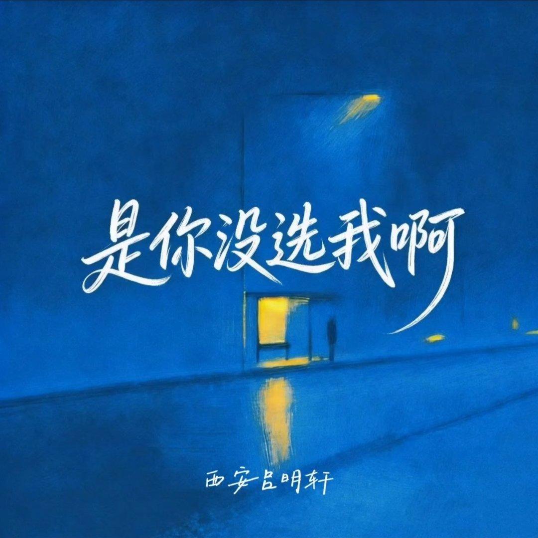是你没选我啊封面