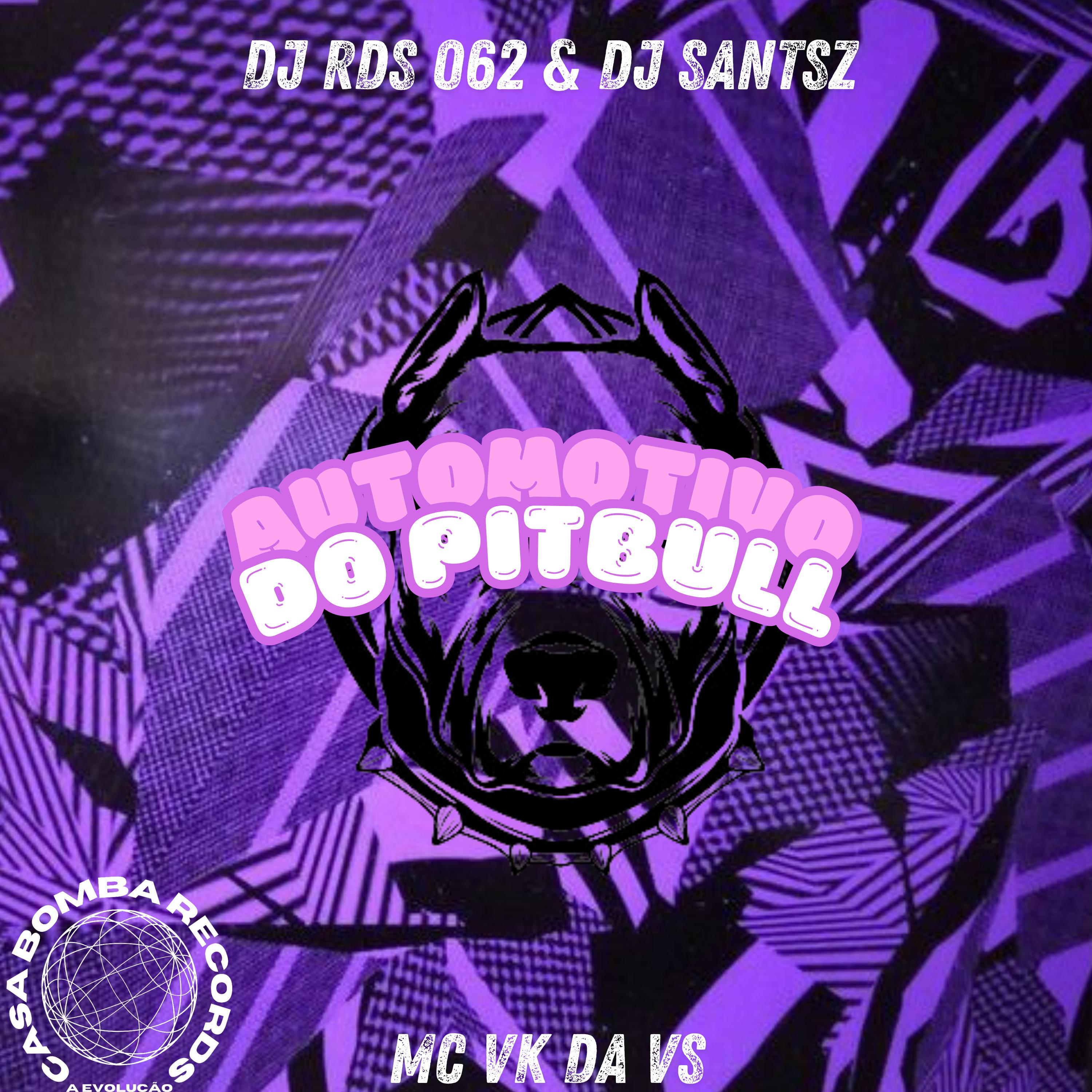 AUTOMOTIVO DO PITBULL