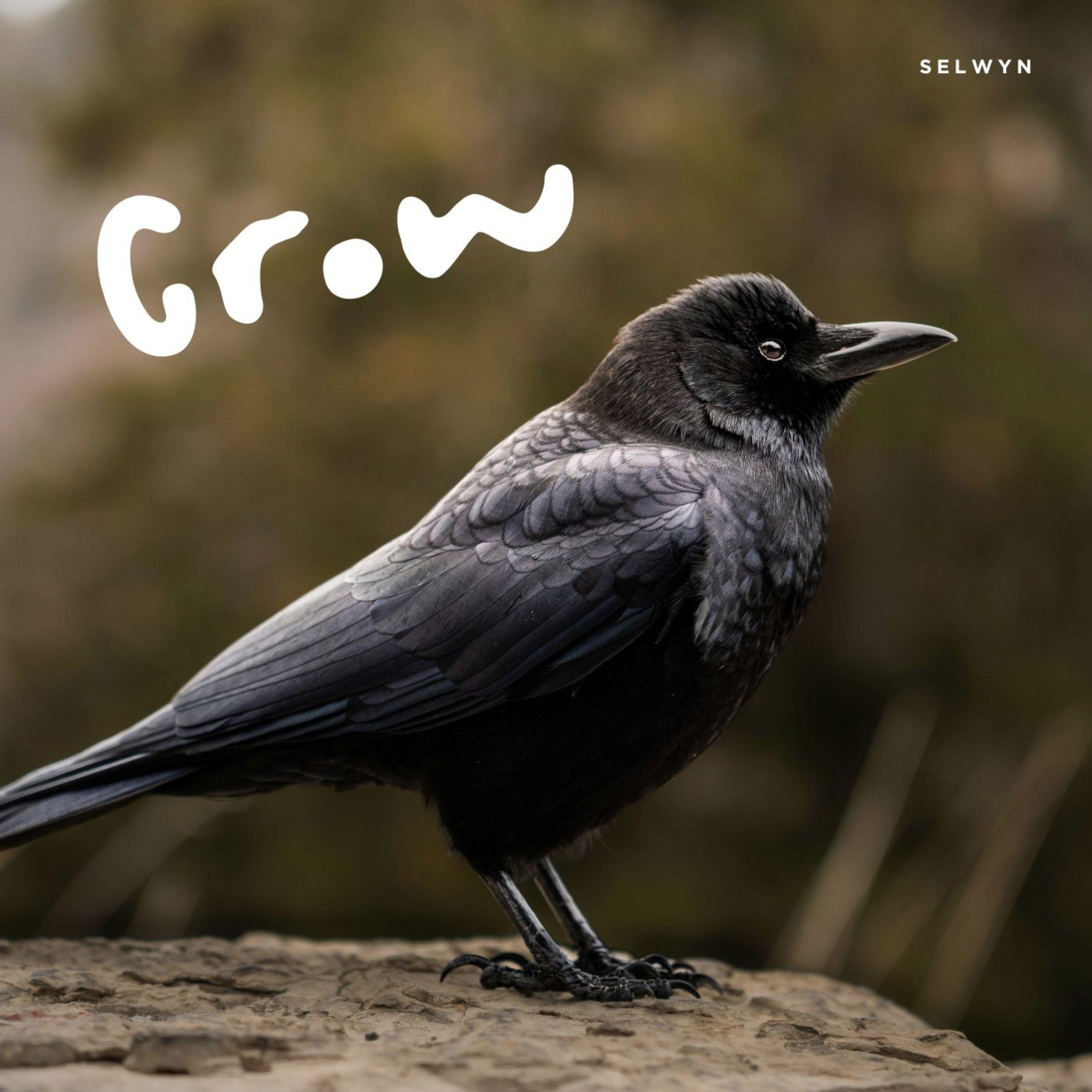 Crow (Radio Edit)