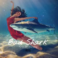 Bad Shark (feat. DJ MIAMI, Oscar, Sergio ZK & Norway VIP)