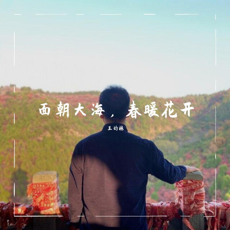 面朝大海，春暖花开 伴奏封面