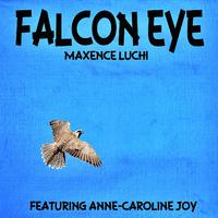 Falcon Eye