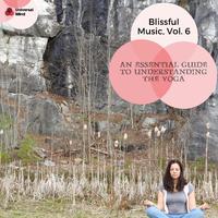 An Essential Guide To Understanding The Yoga - Blissful Music, Vol. 6