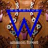 Wakanda - Amazon Forest (Original Mix)