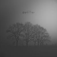 Splitter