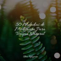 50 Melodías de Meditación Para Terapia Natural