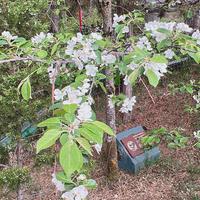 李占全资料,李占全最新歌曲,李占全MV视频,李占全音乐专辑,李占全好听的歌