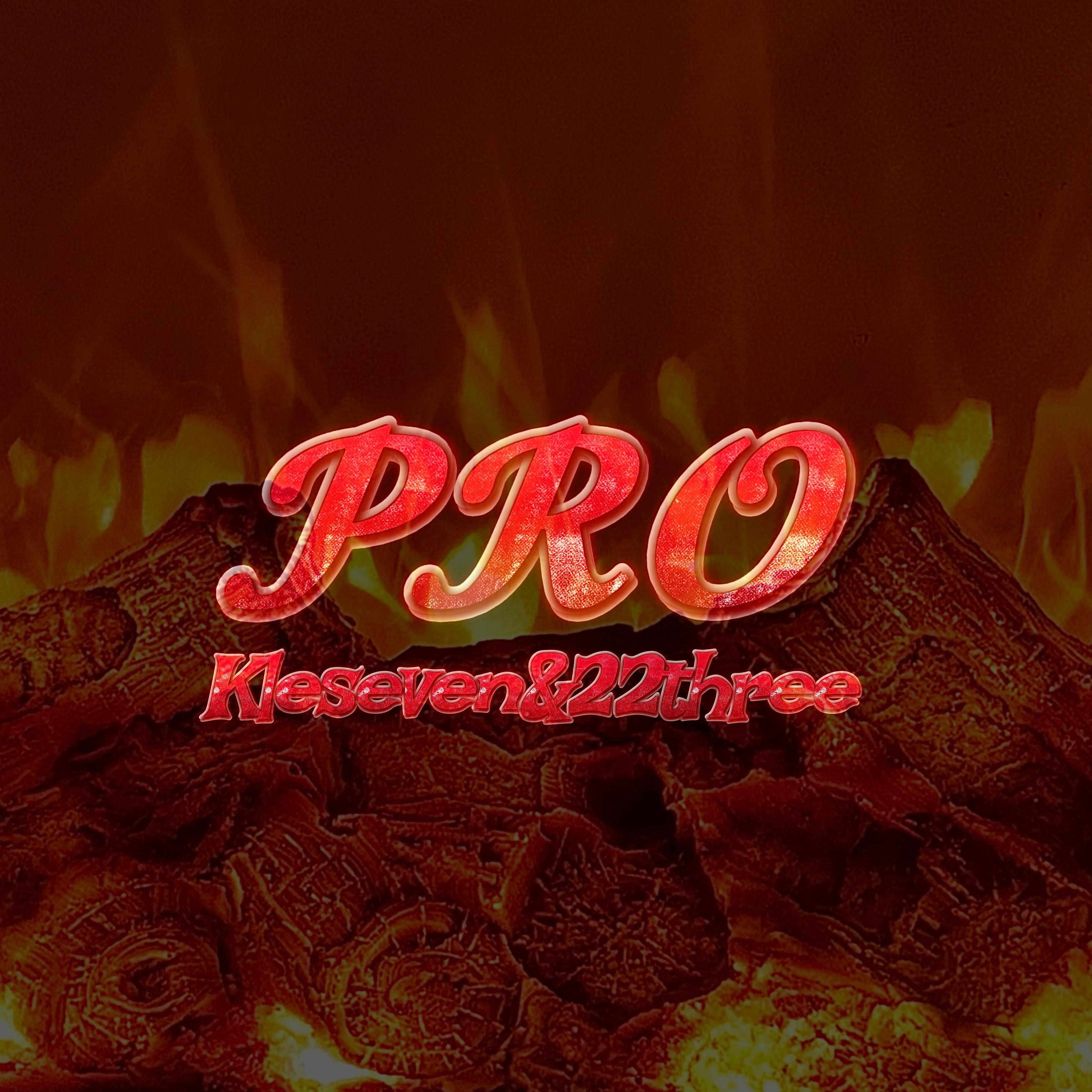 PRO_黎硕_PRO | 在线播放_PRO歌词_PRO下载 | 网易云音乐