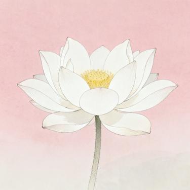 一念花开 (Cover 生命树下)封面