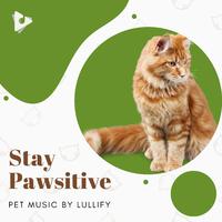 Stay Pawsitive