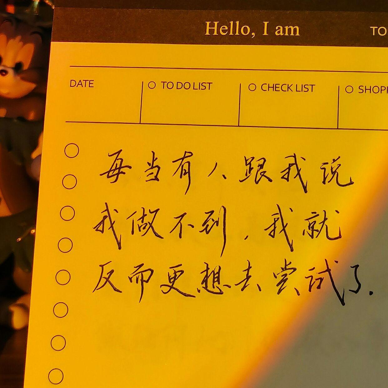 淡淡的爱意封面