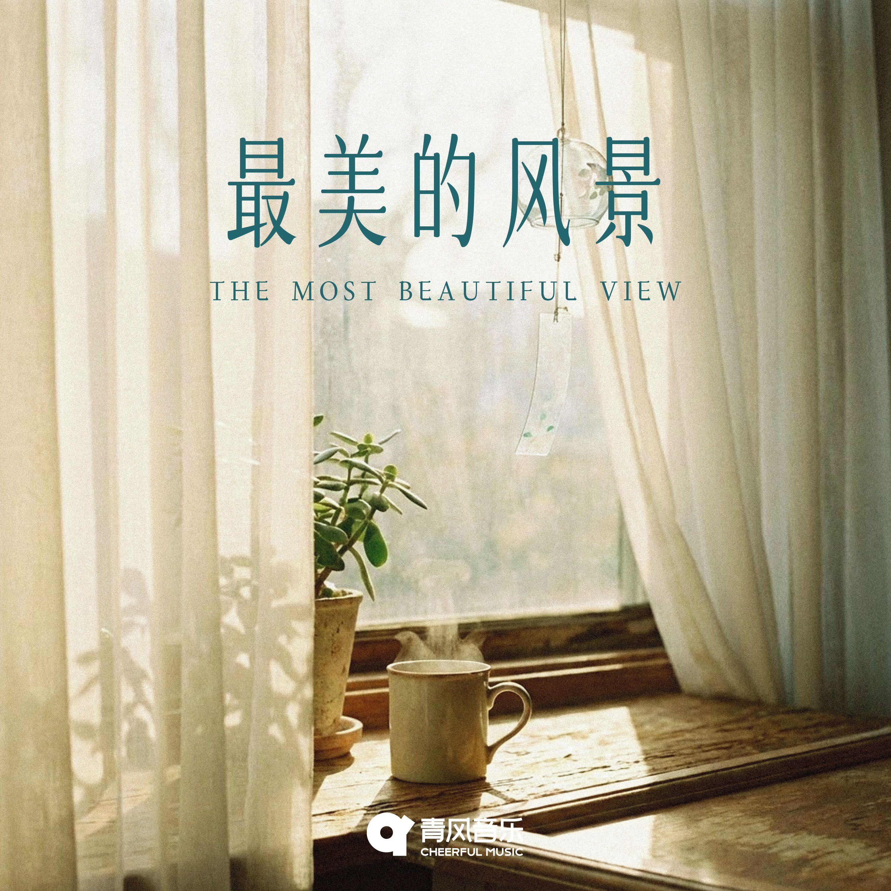 最美的风景封面