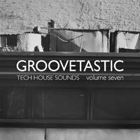 Groovetastic, Vol. 7 - Tech House Sounds