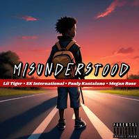 Misunderstood (feat. Pauly Kastalano, Megan Rose & Sk International)