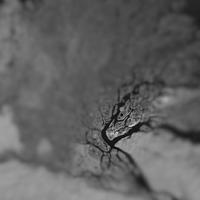 Latria资料,Latria最新歌曲,LatriaMV视频,Latria音乐专辑,Latria好听的歌