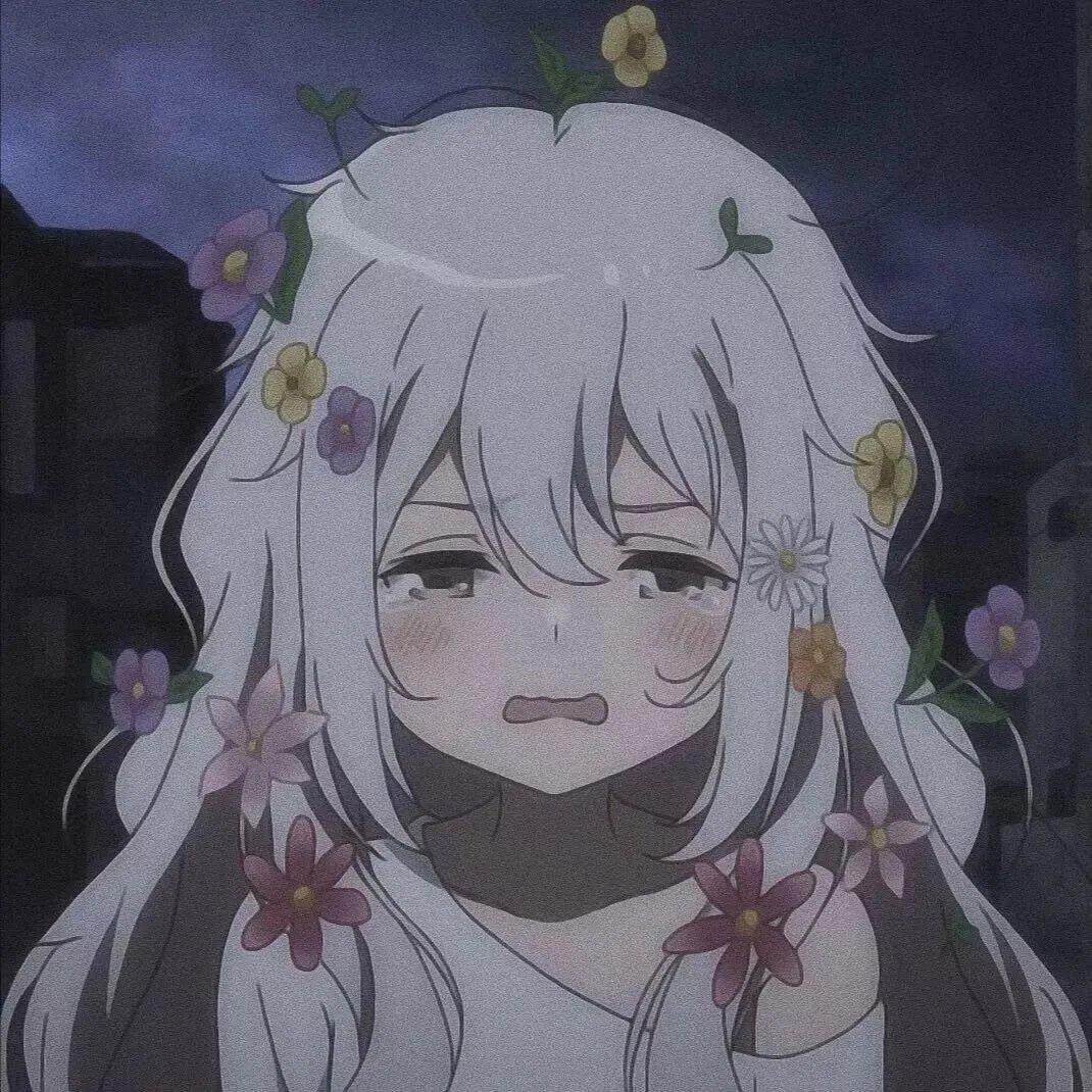 气鼓鼓今天又无了