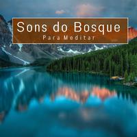 Sons do Bosque para Meditar